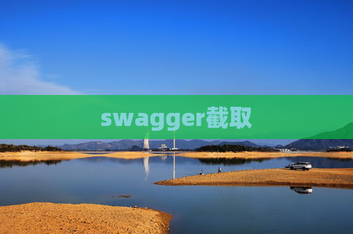 swagger截取